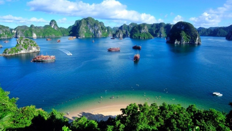 Best Islands to Visit in Halong Bay: Titop, Soi Sim, and Beyond